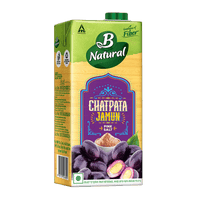 B Natural Chatpata Jamun, 1L