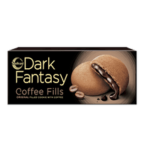 Sunfeast Dark Fantasy Coffee Fills 75g