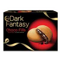 Sunfeast Dark Fantasy Choco Fills 300g